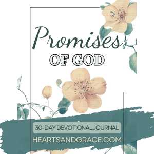 promises-of-god-devotional-journal